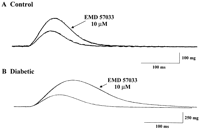 of isometric contraction