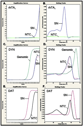   Fig. 10. 