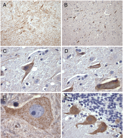   Fig. 3. 