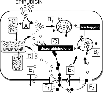   Fig. 9. 