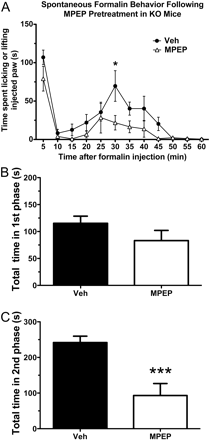   Fig. 9. 