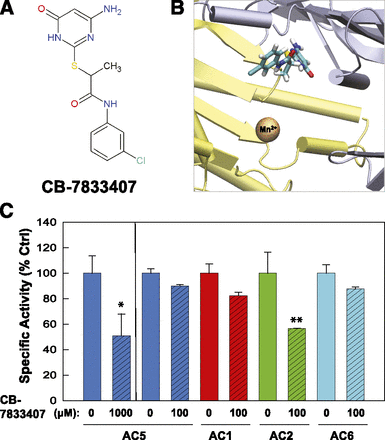 Fig. 6.