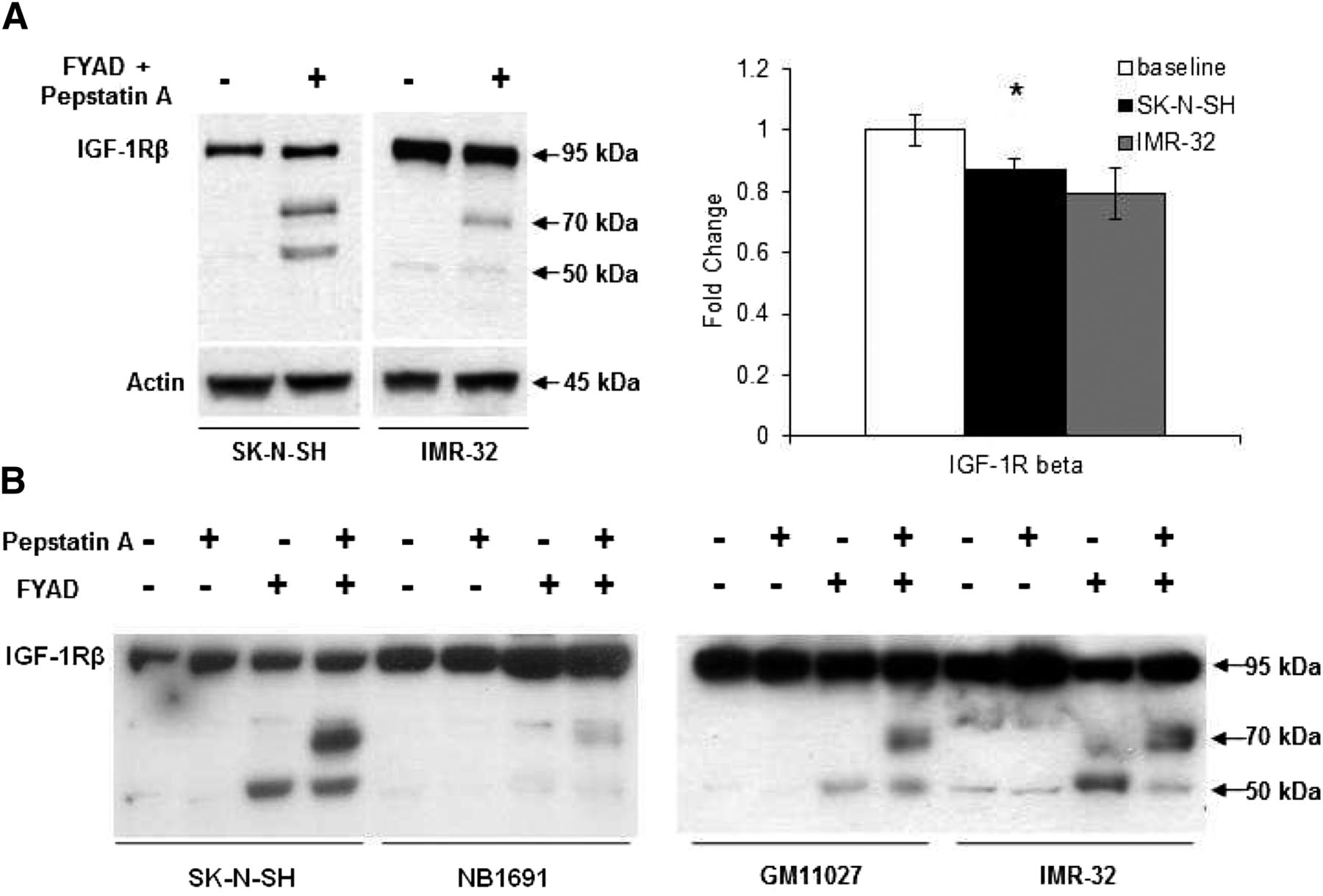 Cathepsin Inhibition Prevents Autophagic Protein Turnover And ...