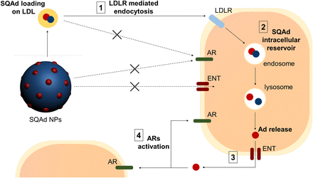 Fig. 7.