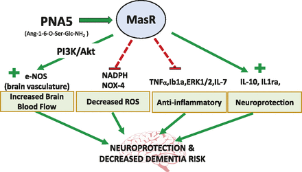 Fig. 12.