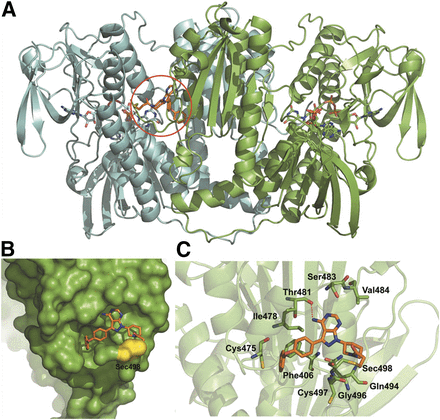 Fig. 3.