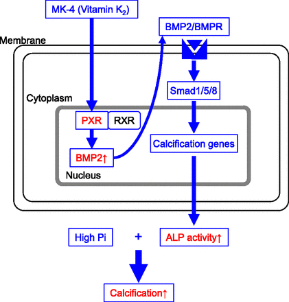 Fig. 6.