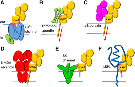 Fig. 2.