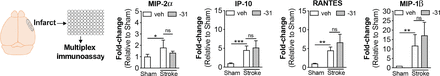 Fig. 6.