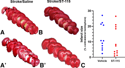 Fig. 8.