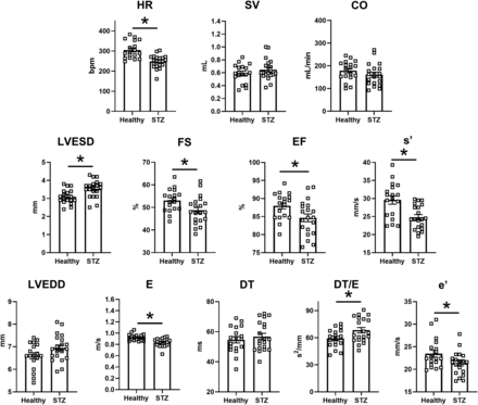 Fig. 8.