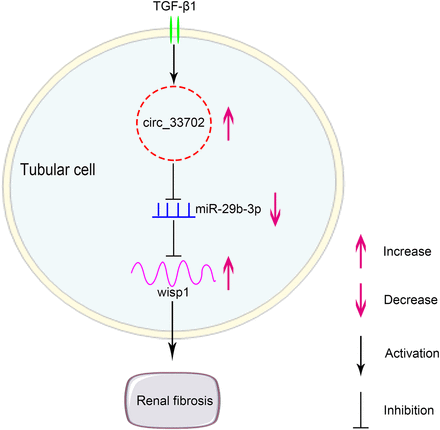 Fig. 10.