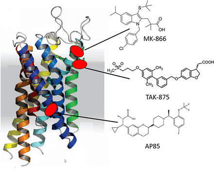 Fig. 5.