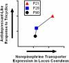 Ontogeny of Norepinephrine Transporter Expression and Antidepressant-Like Response to Desipramine in Wild-Type and Serotonin Transporter Mutant Mice