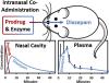 Intranasal Coadministration of a Diazepam Prodrug with a Converting Enzyme Results in Rapid Absorption of Diazepam in Rats