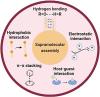 Supramolecular Nanostructures for the Delivery of Peptides in Cancer Therapy