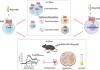 Blockade of Proteinase-Activated Receptor 2 (PAR2) Attenuates Neuroinflammation in Experimental Autoimmune Encephalomyelitis