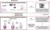 Combining Multiscale Experimental and Computational Systems Pharmacological Approaches to Overcome Resistance to HER2-targeted Therapy in Breast Cancer