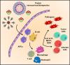 Protein-Based Nanocarriers and Nanotherapeutics for Infection and Inflammation