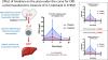 Clinical and Pharmacological Implications of Time to Treatment with Interleukin-1 Blockade in ST-Segment Elevation Myocardial Infarction