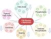 Metformin Monotherapy Alters the Human Plasma Lipidome Independent of Clinical Markers of Glycemic Control and Cardiovascular Disease Risk in a Type 2 Diabetes Clinical Cohort