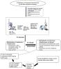 Gellan Gum Based <em>Sol-to-Gel</em> Transforming System of Natamycin Transfersomes Improves Topical Ocular Delivery