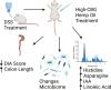 High Cannabigerol Hemp Extract Moderates Colitis and Modulates the Microbiome in an Inflammatory Bowel Disease Model