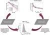 Quantitative Assessment of Population Variability in Hepatic Drug Metabolism Using a Perfused Three-Dimensional Human Liver Microphysiological System