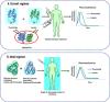 Pramlintide an Adjunct to Insulin Therapy: Challenges and Recent Progress in Delivery