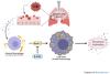 Intratracheal Administration of Acyl Coenzyme A Acyltransferase-1 Inhibitor K-604 Reduces Pulmonary Inflammation Following Bleomycin-Induced Lung Injury