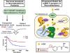 The Plasma Membrane Monoamine Transporter is Highly Expressed in Neuroblastoma and Functions as an mIBG Transporter