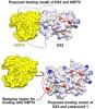 Allosteric Inhibition of the Tumor-Promoting Interaction Between Exon 2–Depleted Splice Variant of Aminoacyl–Transfer RNA Synthetase-Interacting Multifunctional Protein 2 and Heat Shock Protein 70