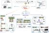 <em>N</em>-Palmitoylethanolamide Exerts Antidepressant-Like Effects in Rats: Involvement of PPAR<em>α</em> Pathway in the Hippocampus